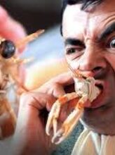 Mr. Bean’s Holiday | A Parisian Seafood Nightmare